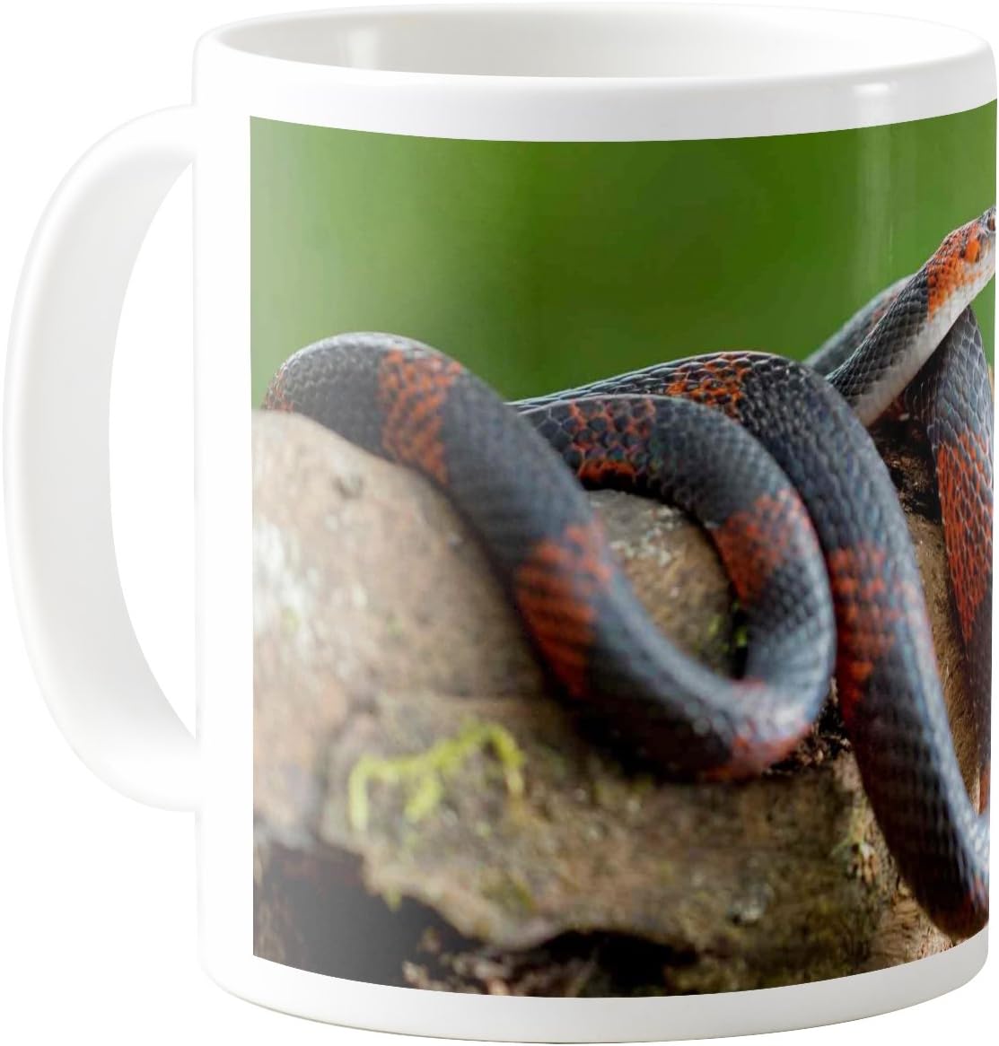 Amazon Com Aquasakura Falsa Coral 11oz Taza De Cafe De Ceramica Taza De Te Hogar Y Cocina