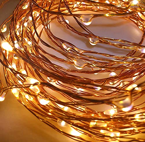 Desidiya 3AA Battery Powered Copper String Decorative LED Fairy Lights Warm White, 5 Meters, 50 LED's (Pack of 1)