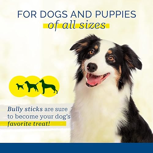 Miniatura 5 de Pet Center, Inc. Bully Stick 8ct con etiqueta - 6"