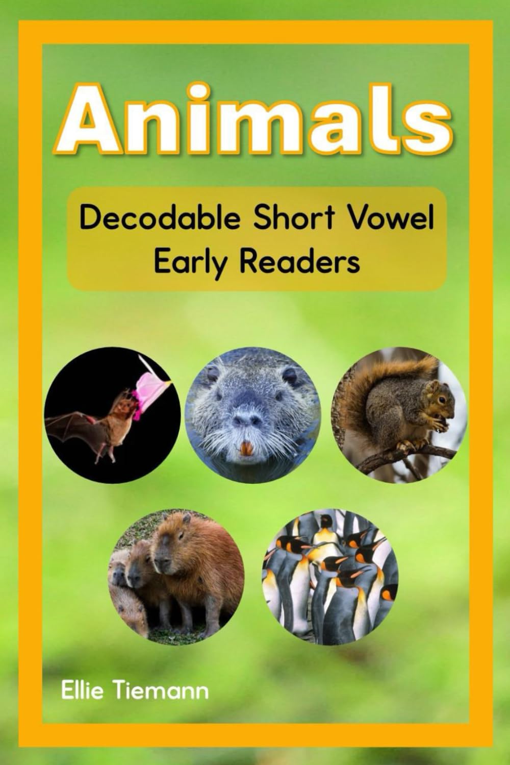 Animals: Nonfiction Decodable Short Vowel Early Readers (Decodable Books)