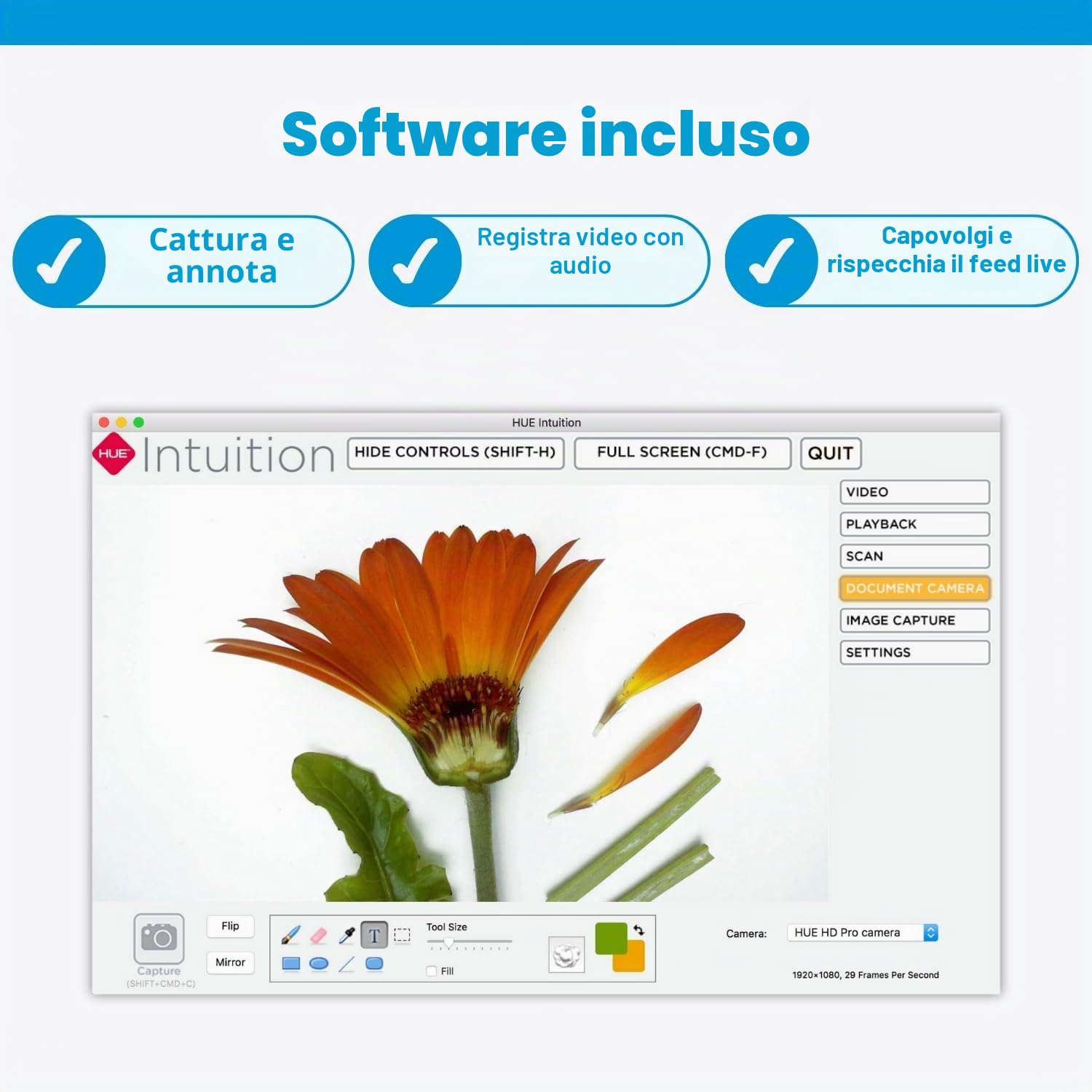 HUE HD Pro Visualizzatore di Documenti/Telecamera USB, Blu