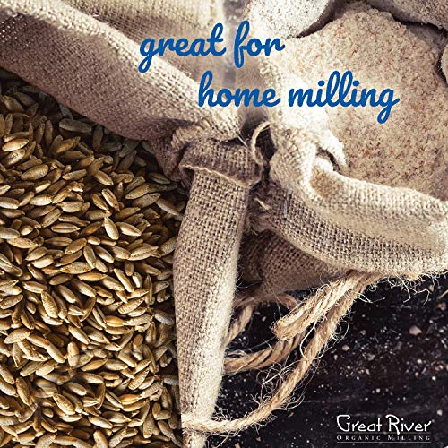 Great River Organic Milling, Whole Grain, Rye Grain, Organic, 50-Pounds (Pack Of 1) #TOP4