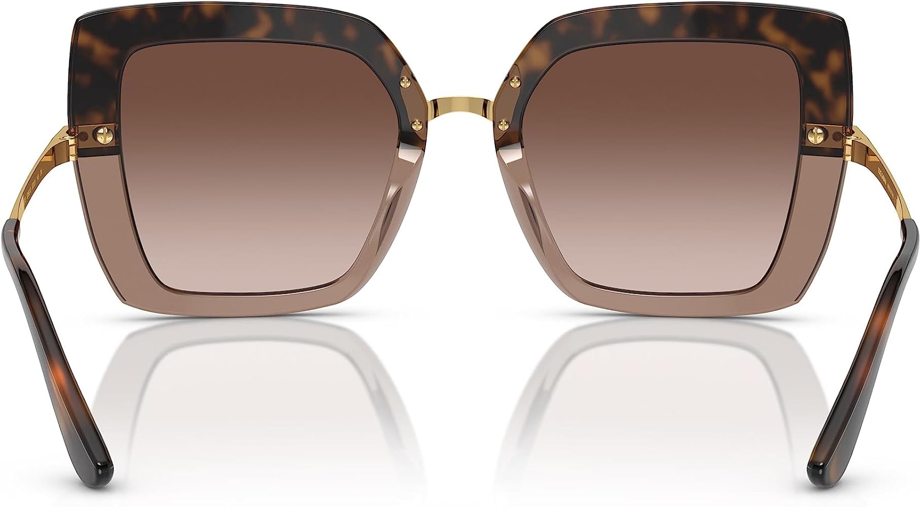 Amazon.com: Dolce & Gabbana DG4373 Top Havana Transparent Brown