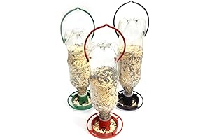 Turn Your Favorite Soda Bottle into a Bird Feeder with Gadjit Soda...