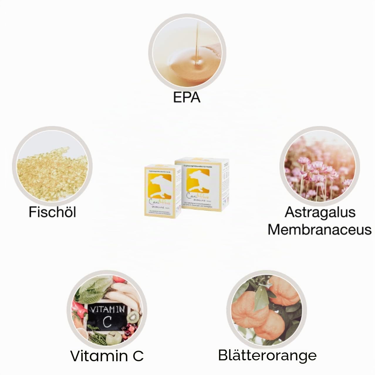 Sparbundle Immune mini (ehemals EPA 70) & Senior mini - je 100 Kapseln tierärztliches Ergänzungsfuttermittel für kleine Hunde im Alter.