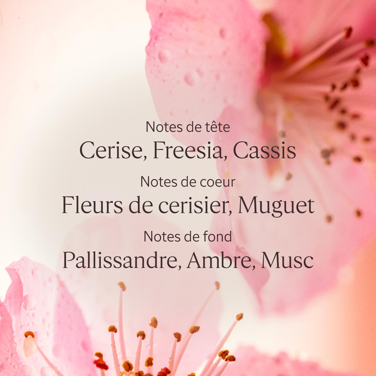 L'OCCITANE - Eau de Toilette Fleurs de Cerisier - 50 ml | Notes fruitées, florales et musquées - Accords de Cerise, Fleurs de Cerisier et Musc - Fabriqué en France