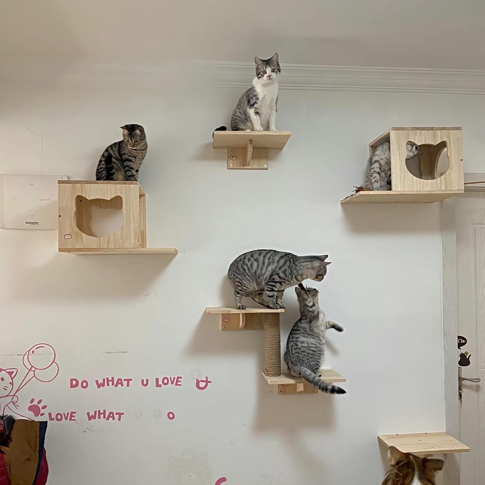 Ripiani e posatoi per gatti da parete, mobili moderni per gatti con tiragraffi, letto pensile, casa, gradini, albero per gatti grandi o piccoli