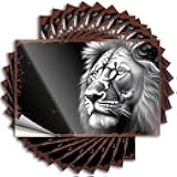 Hardhat Stickers and Decals Lion's Majestic Face in Black and White Sticker 10Pcs Mechanic Stickers Funny Stickers(6X9CM)