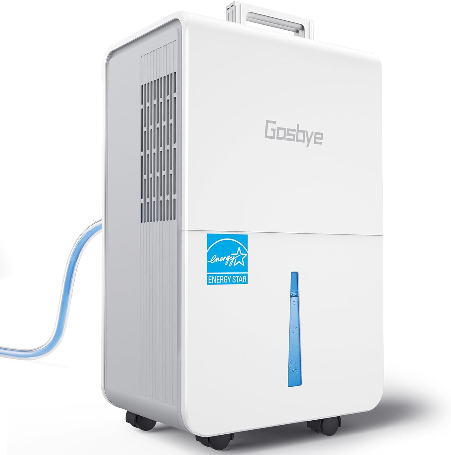 Afternoon Goodies For You!