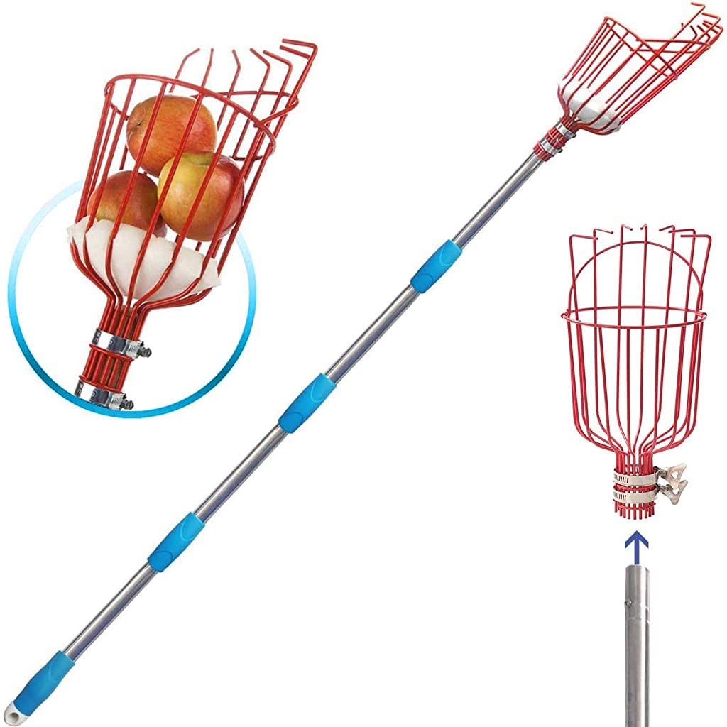 HASTHIP® 190cm Fruit Picker with Basket and Telescopic Pole, Fruit Plucker for Coconut, Mango and More, Easy to Use Fruits Catcher Tree Picker-image-23