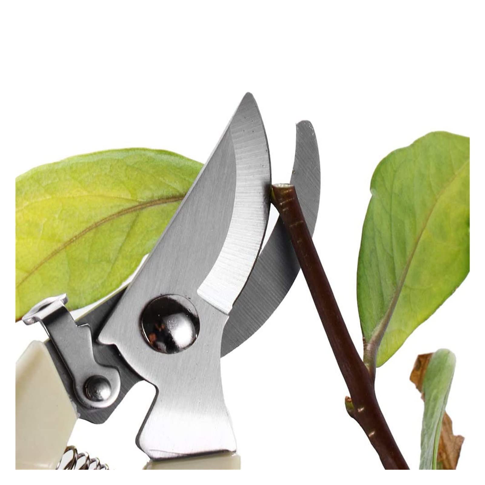 Utensile da potatura 17 cm/19 cm, cesoia per potatura, Forbici da Giardinaggio, Utensili da Taglio in Acciaio Inossidabile, Set di Utensili per la casa, Antiscivolo, durevoli e Versatili.