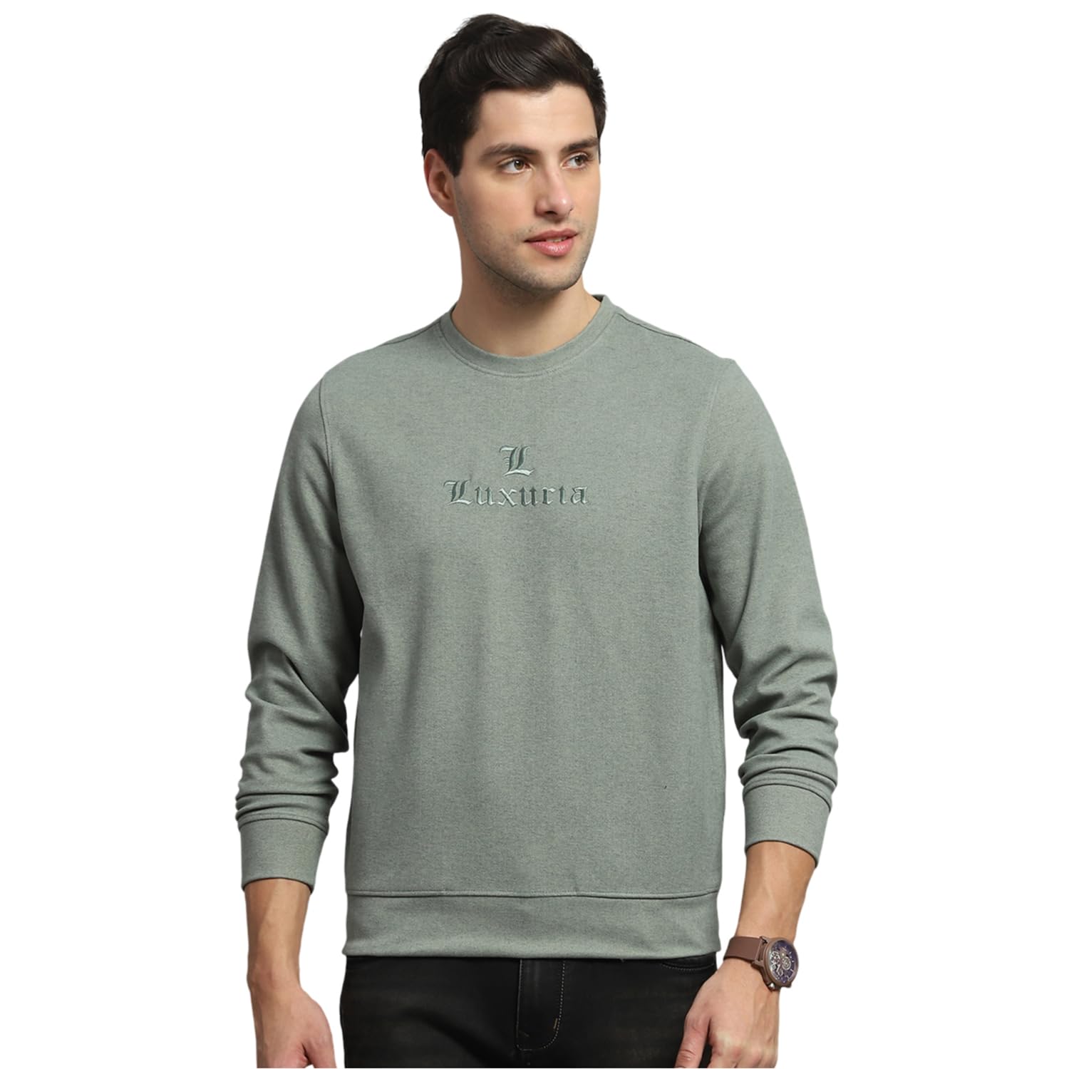 Mens Self Design Beige Round Neck Full Sleeve Sweatshirt-image-37