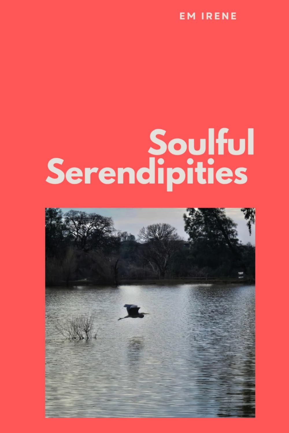 Soulful Serendipities: A Collection of Poetry