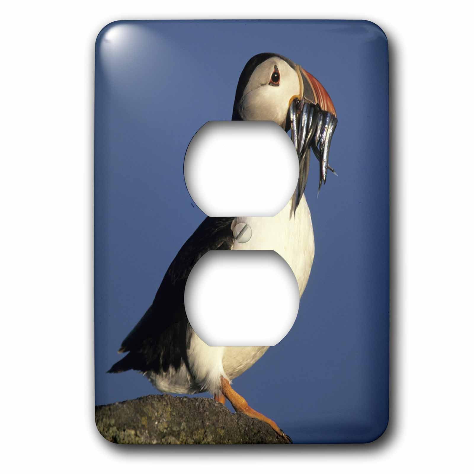 Plaque pour 2 prises de courant Puffin Écosse pour remplacer les caches électriques blancs
