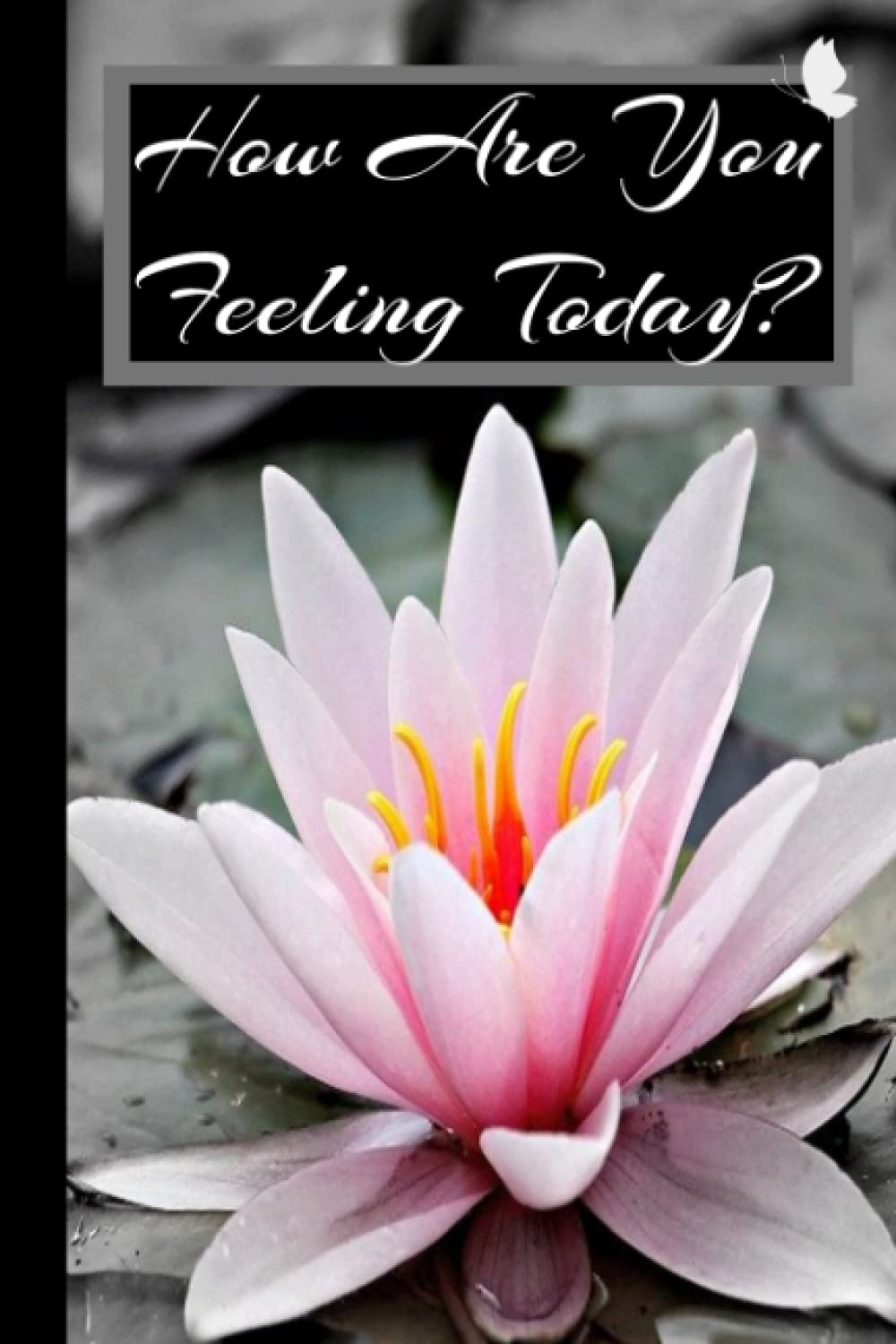 How Are You Feeling Today? Journal - How Are You Feeling and Why