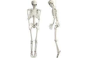 2-Pack 5.4Ft Halloween Life Size Skeleton Halloween Decor, Posable Human Skeleton Decorations...