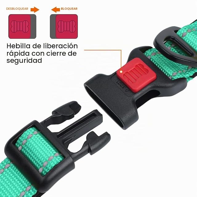 Foto 3 de 6 de Taglory Collar Perro Acolchado Reflectante Ajustable, Hebilla de Seguridad