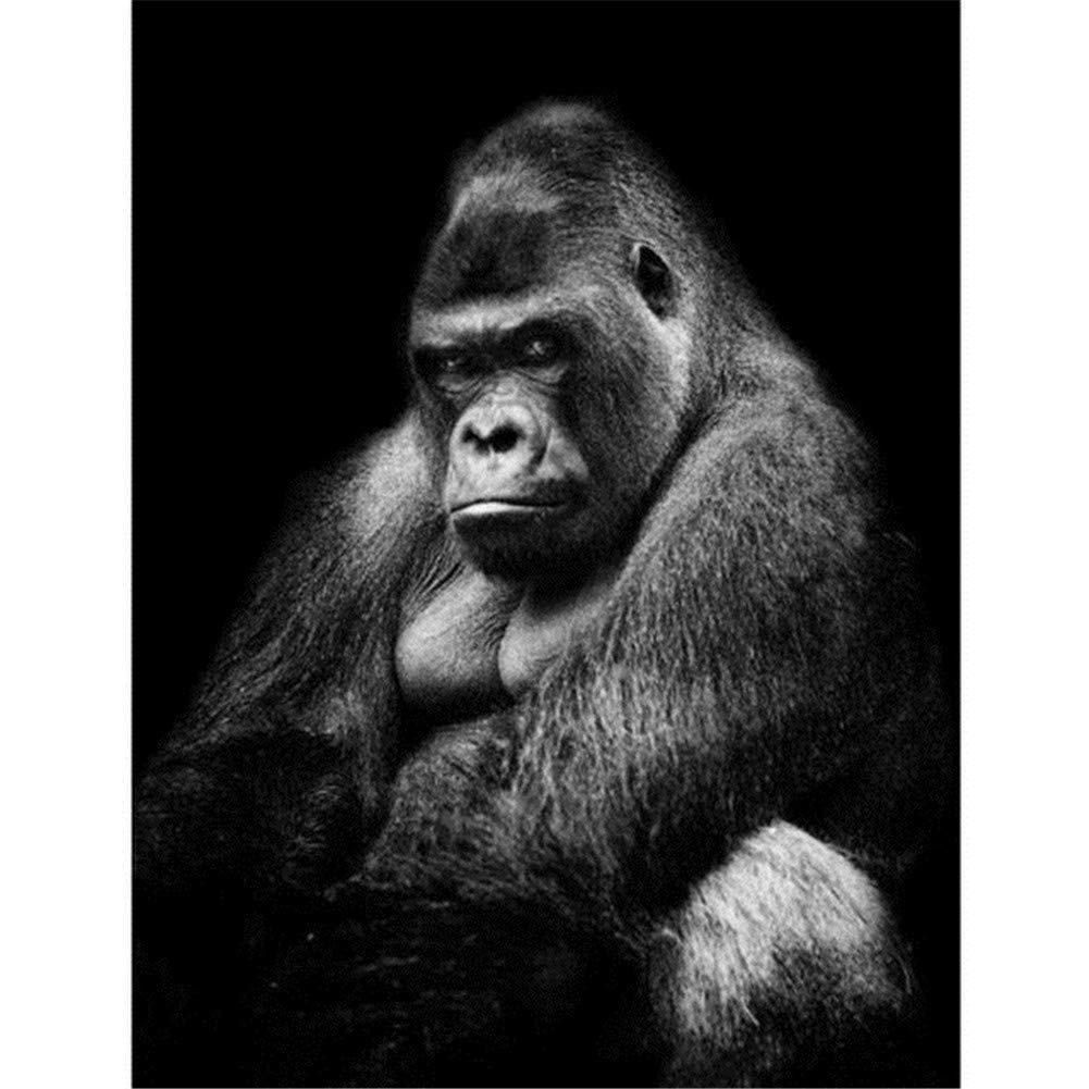 DIY 5D Diamond Painting Kits Gorille Noir Grande Taille Point De Croix Broderie Diamant Strass Complets Pour Adulte & Enfants Mosaïque Diamond Art Décoration Murale à La Maison-Square Drill,50x50cm
