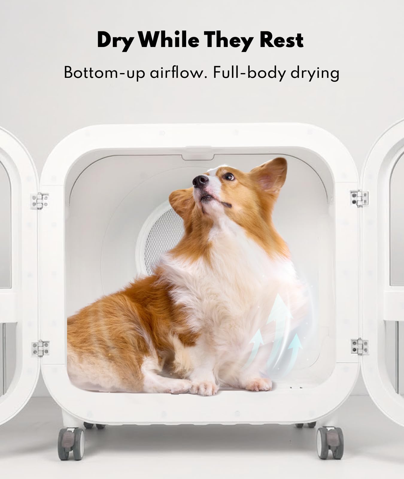 Amazon.com: HomeRunPet 135L Smart Pet Dryer Box for Medium Dogs