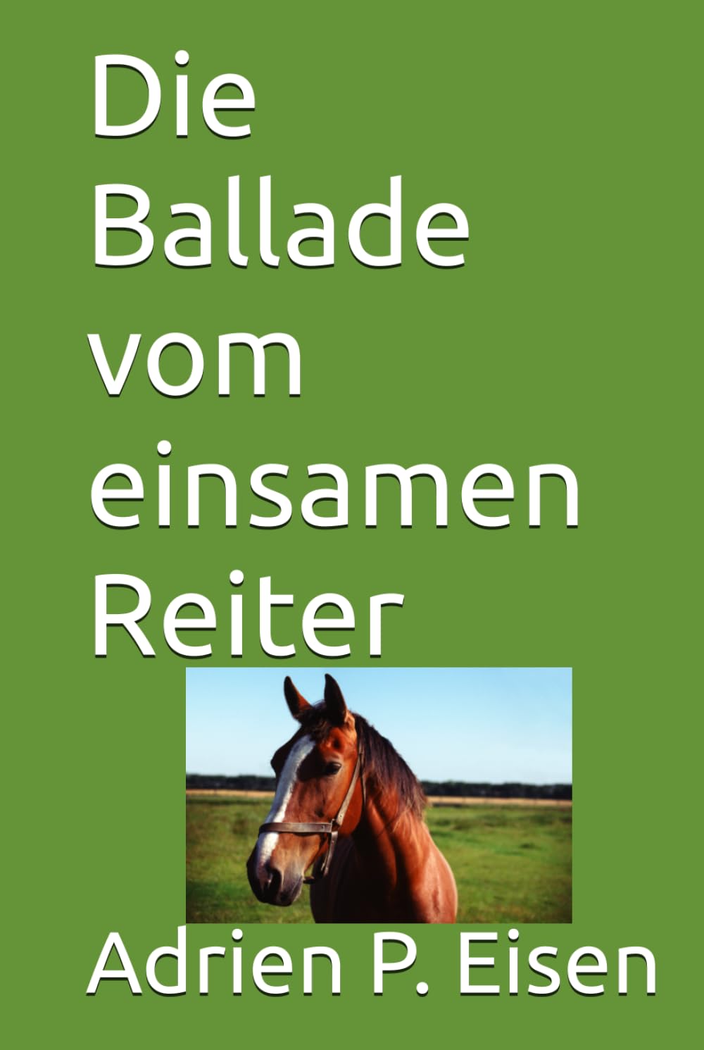 Die Ballade vom einsamen Reiter
