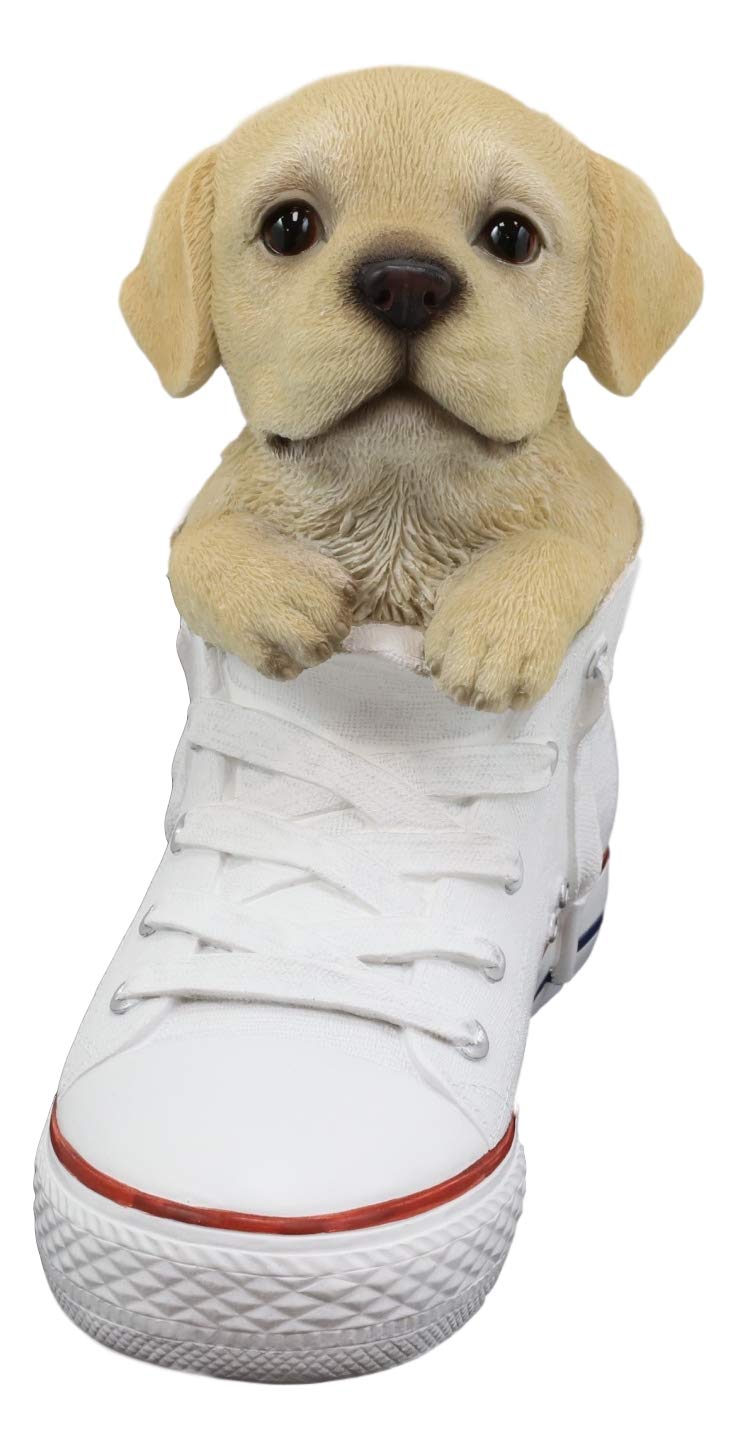 Ebros 'Paw-Star' Pups Lifelike Realistic Puppy Dog in Sneaker Chucks Shoe  Statue Pedigree Breed Dogs Puppies Collectible Decor with Glass Eyes Pet