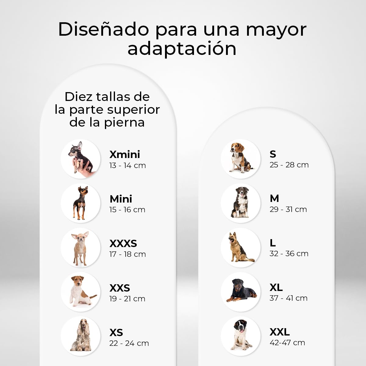Ortocanis - Rodillera para Perro - Fabricada en Neopreno ARD - para Desgarros LAC, Lesiones de Ligamento, Luxación de Rótula u Osteoartritis - Size X-Small (22-24 cm) - Pierna Trasera Izquierda