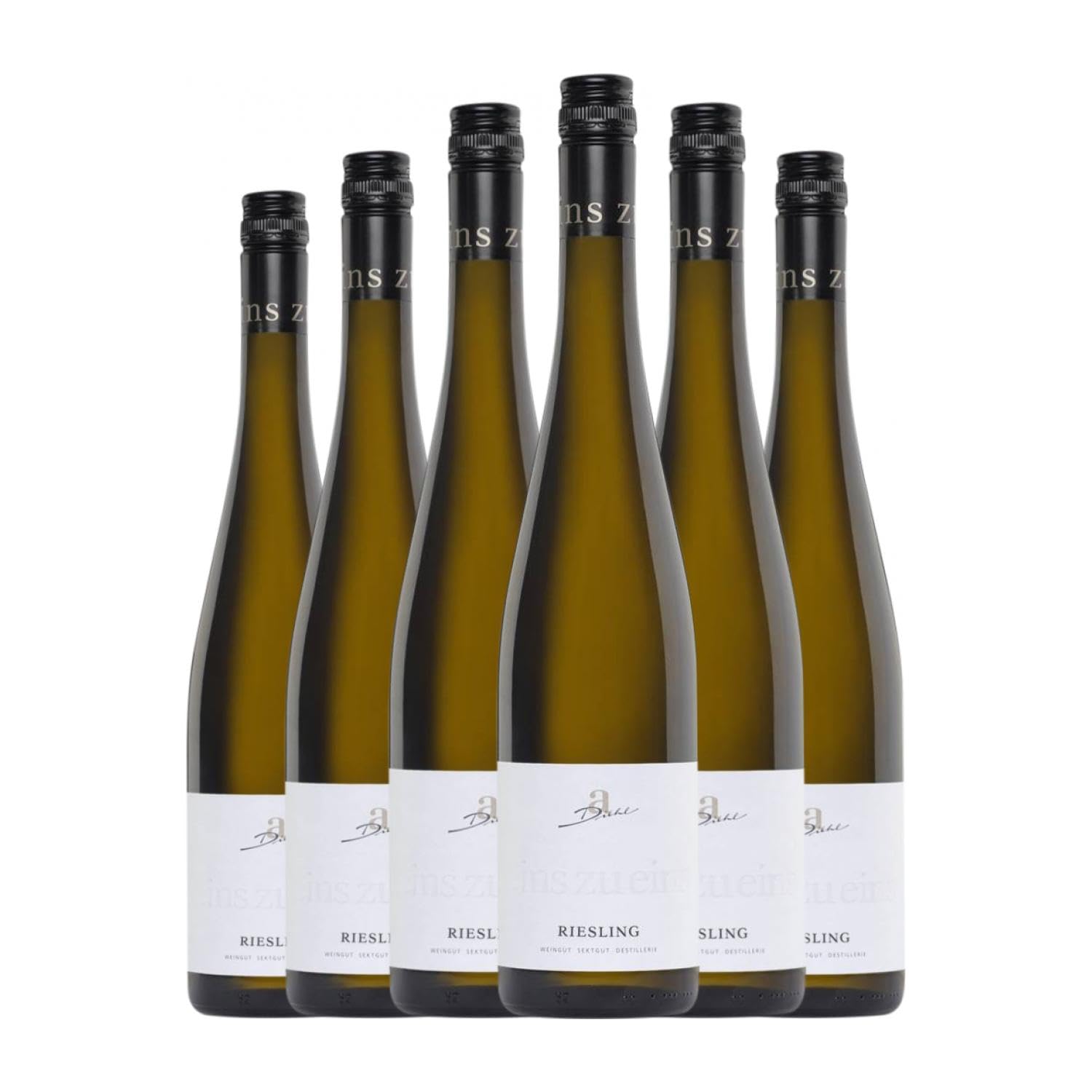 Diehl Eins zu Eins Kabinett Riesling Trocken Pfälz 75 cl Weißwein (Karton mit 6 Flaschen von 75 cl)