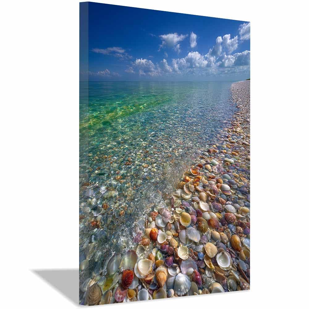 HOQIU Beautiful wall art Crystal Clear Shells Beaches canvas artwork for wall, art prints, For living room, bedroom, bathroom, dining room, painting and decor.(Multicolor)-40x60cm Framed