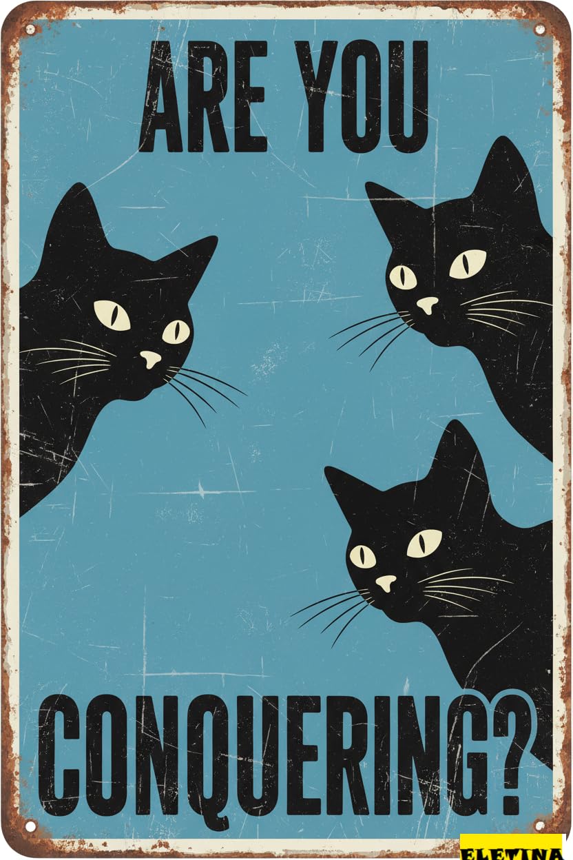 Are You Pooping Black Cat Tin Sign, 12x8 Inch