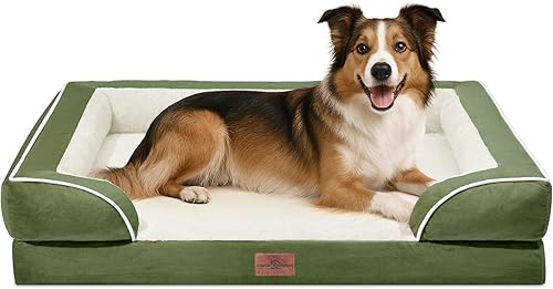 Miniatura 52 de Comfort Expression - Cama ortopédica perros pequeños, 20 x 14 pulgadas, impermeable, espuma soporte cartón de huevo, cojines extraíbles, sofá con