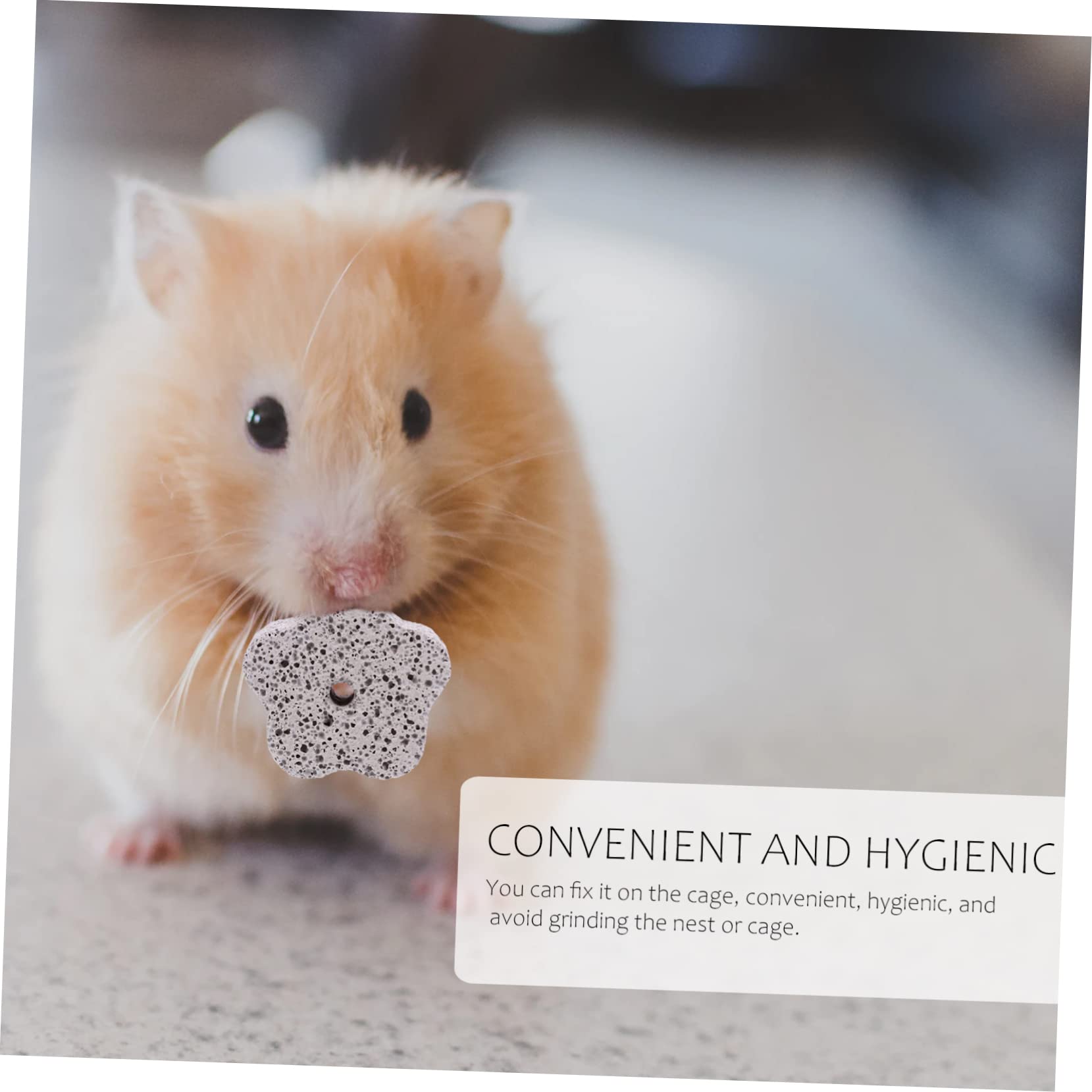 FRCOLOR 36stücke Teiliges Aus Mineralstein-kauspielzeug Für Nager Kalziumreiche Kausteine Für Hamster Kaninchen Und Andere Kleintiere Fördert Gesunde Zähne Und Ernährung