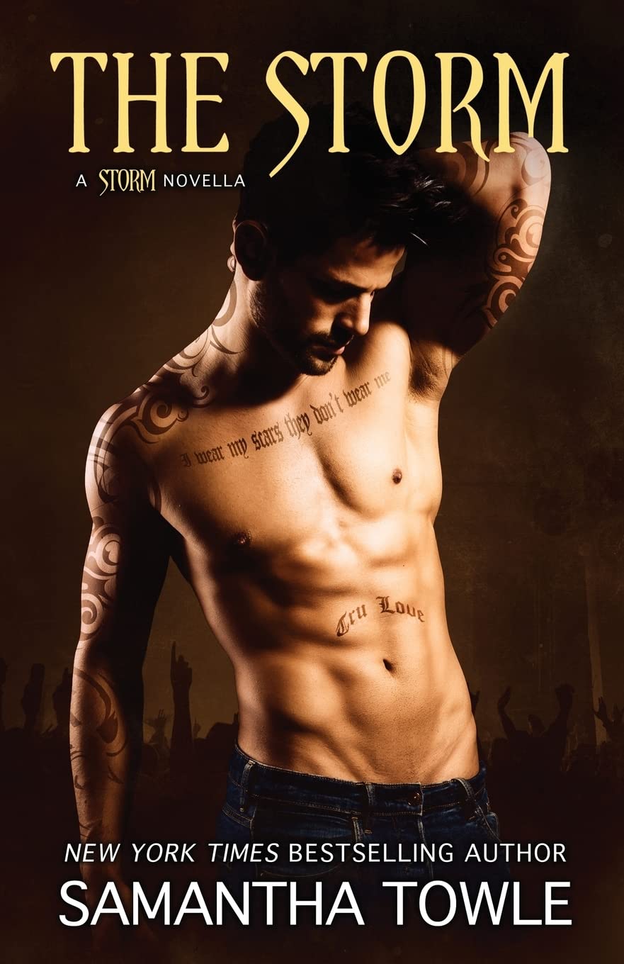 The Storm: Volume 4 (The Storm Series)