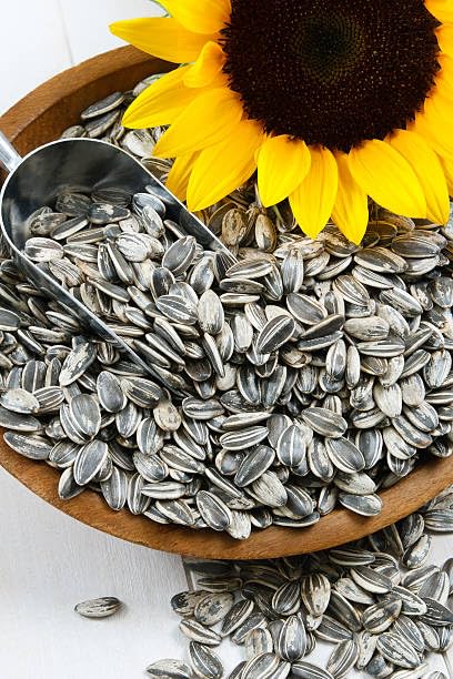 Image of Turf Fresh Roasted Salted Jumbo Sunflower Seeds,Surajmukhi Beej - The Ultimate Superfood Snack! A+ GRADE SEEDS Healthy Snacks (200G Chatori Pack)