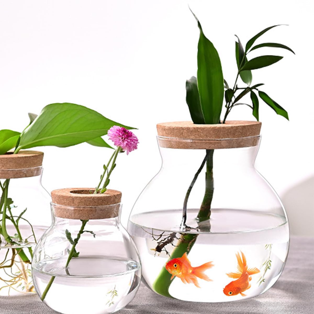 Macetas De Vidrio De Borosilicato Transparente, Jarrón Suculento Hidropónico, Recipiente De Vidrio Musgoso, Decoración De Oficina, Decoración Del Hogar, Contenedor De Paisaje En Miniatura.