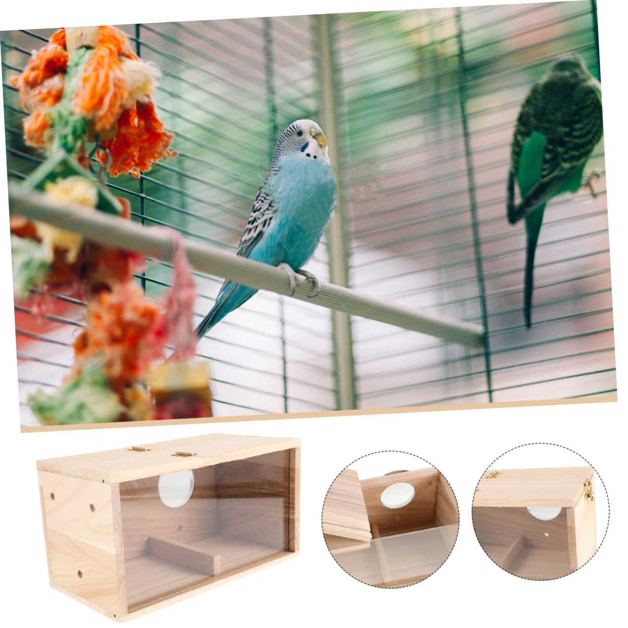 WOONEKY Caja Nido para Pájaros de Madera y Acrílico Transparente Resistente la Intemperie para Cría de Periquitos Ninfas Agapornis y Aves Pequeñas Fácil de Instalar y Limpiar