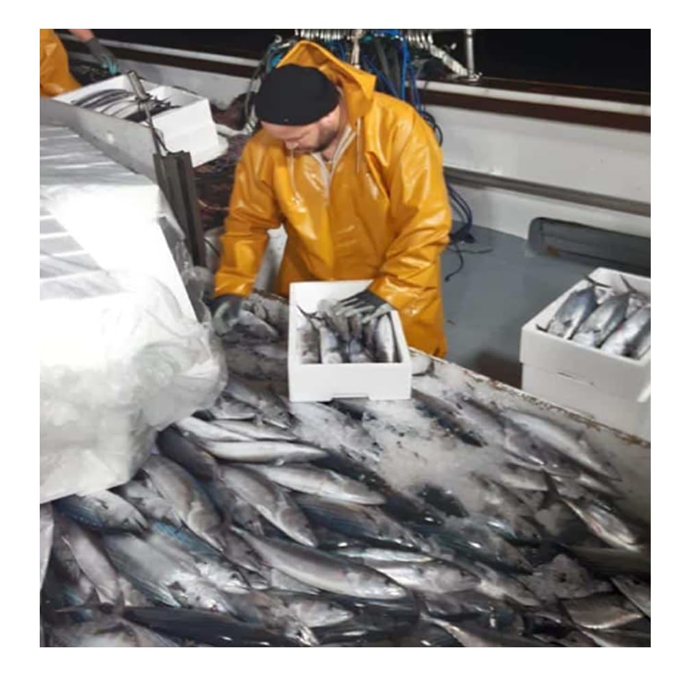 Los Picones Gourmet® Bonito del Norte Entero (Aprox. 1.500 kg) I Conservas de Pescado Gourmet I Pescado Fresco I Salazones y Ahumados I Aperitivos Gourmet I Tapas Españolas.