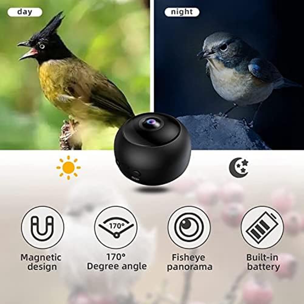 Comedero para pájaros de plástico con cámara de observación de pájaros, conexión remota para teléfono móvil para observación de