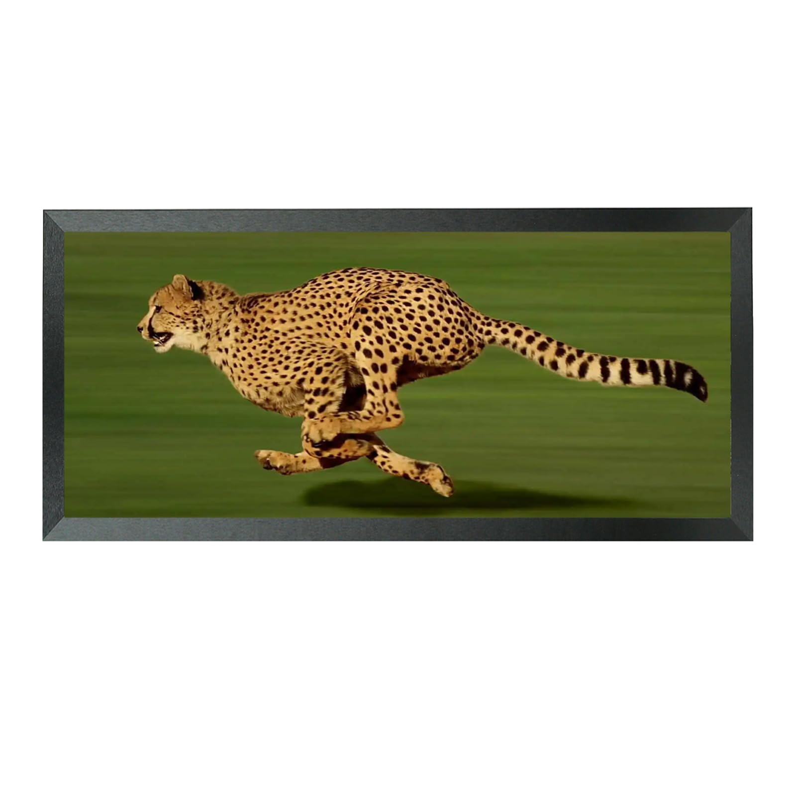 Mxtallup9x24 Picture Frame Solid Wood 9x24 Poster Frame for Wall Photo Frames Family Black (T22B924)