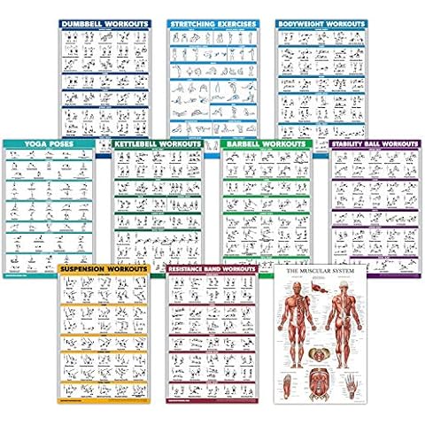 Palace Learning Exercise Poster Set Cover