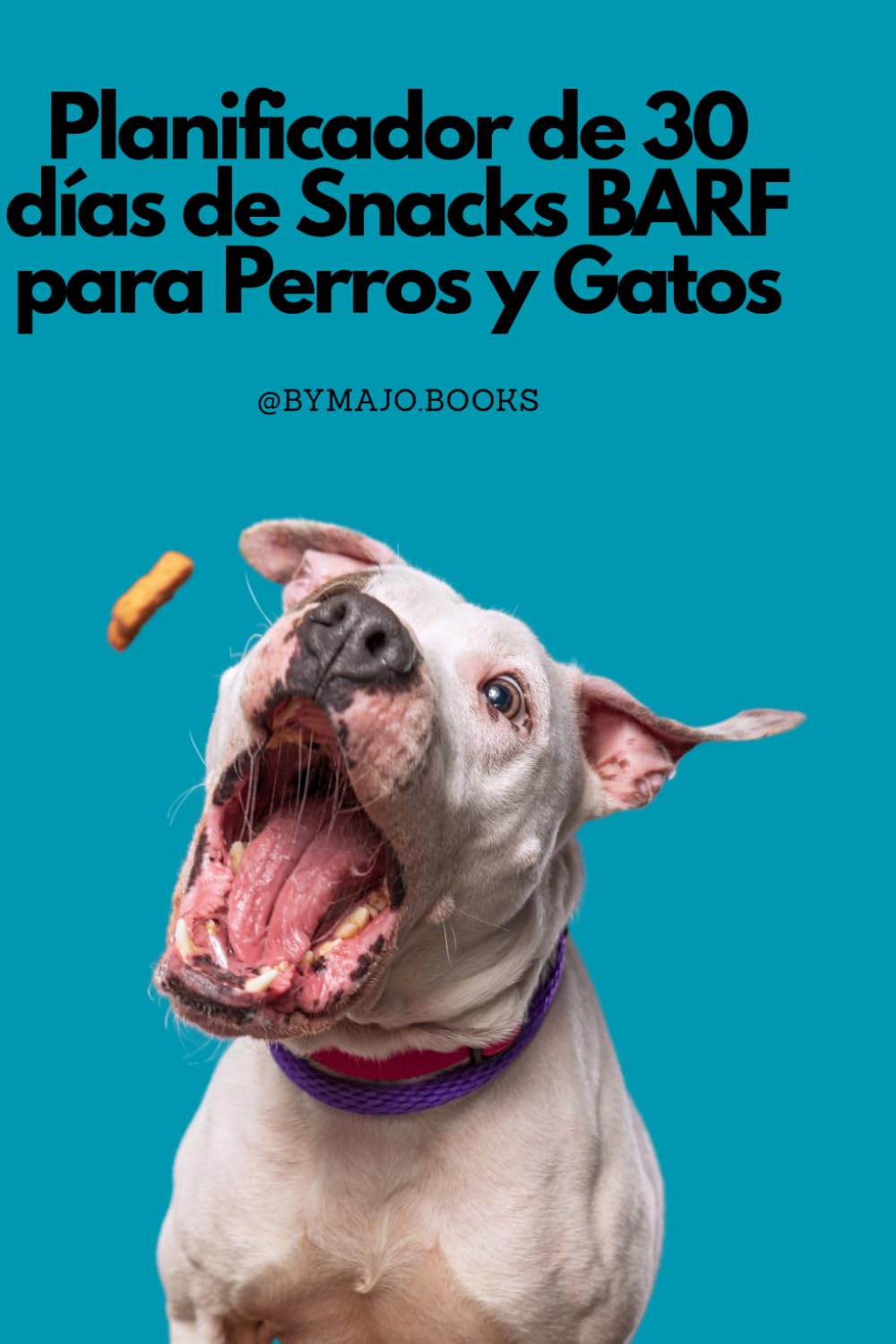 Planificador de 30 días de Snacks BARF para Perros y Gatos