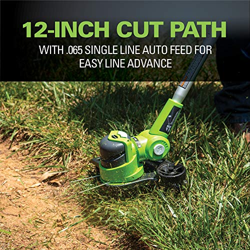 Greenworks 12-Inch 24V Cordless String Trimmer/Edger, 2.0 AH Battery Included 21342