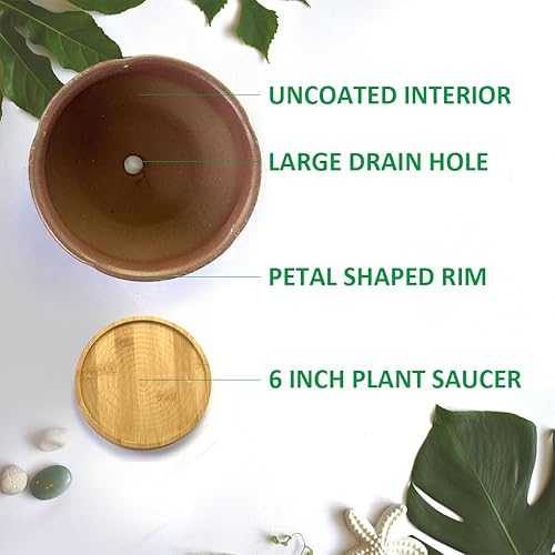 Miniatura 13 de Maceta redonda de terracota esmaltada de 8 pulgadas para suculentas, maceta redonda de cerámica con drenaje y platillo, maceta de arcilla de cactus