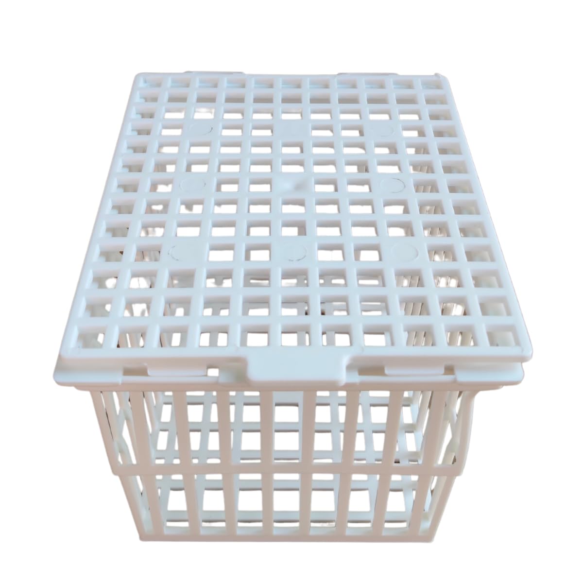 AANIJ® Test Tube Basket with cover Size 110 x 120 x 150 mm Pack of 2 Laboratory Test Tube Basket for Washing, Drying & Storage | Chemical Resistant, Stackable Lab Tube Holder-image-22