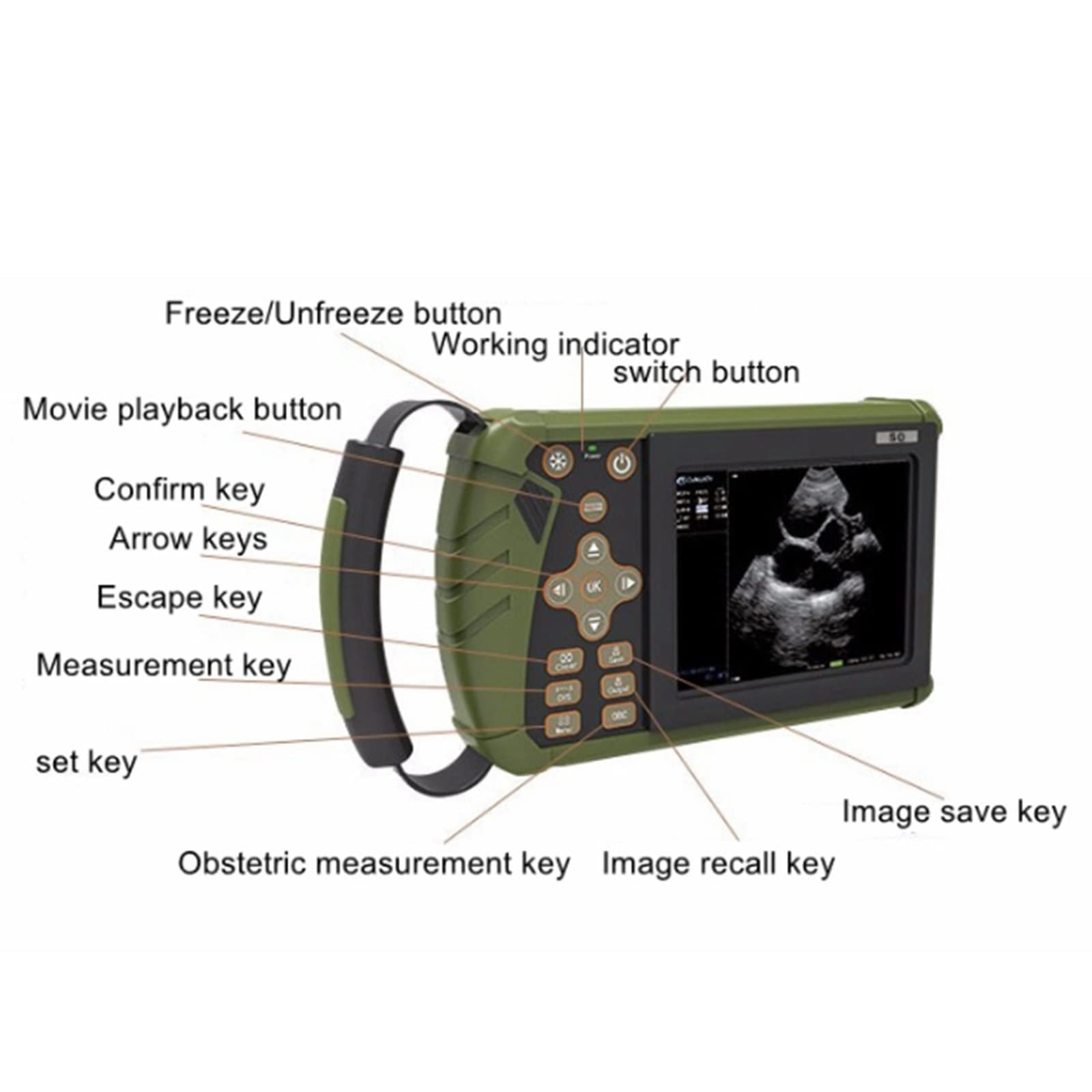 Scanner Portatile per veterinaria Macchina Digitale, Scanner a ultrasuoni B Portatile per Animali per scrofe e capre