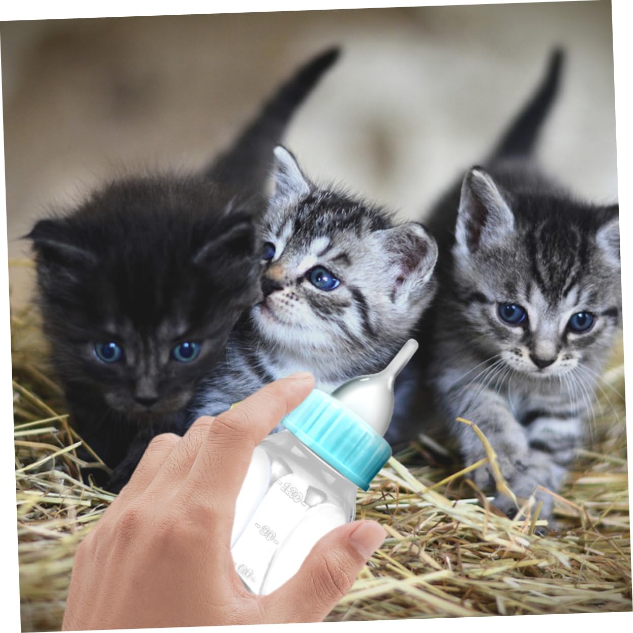 Toddmomy 2Pcs Puppy Nursing Bottles Transparent Kitten Milk Feeder Small Pet Bottle for Easy Feeding Safe Material for Newborn Overfeeding Diarrhea