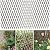 86 York Expandable Willow Lattice Fence Panel for Climbing Plants Vine Ivy Rose Cucumbers Clematis (2)