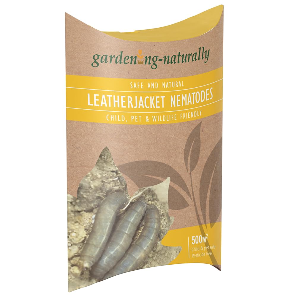 Gardening Naturally Leatherjacket Nematodes for Lawn – Natural Biological Control for Leatherjackets; Treats Crane Fly Larvae; Lawn Pest Control (500 sq.m)