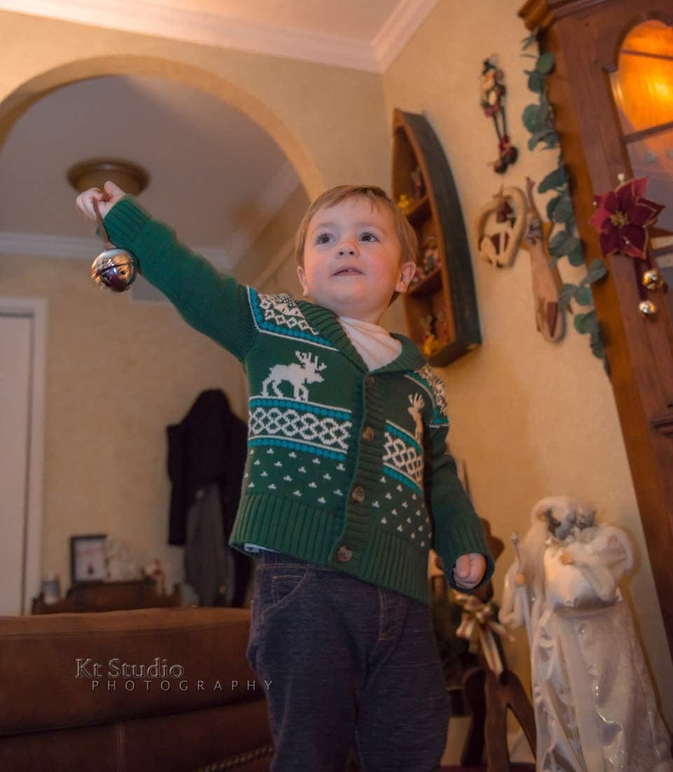 The Polar Express Sleigh Bell