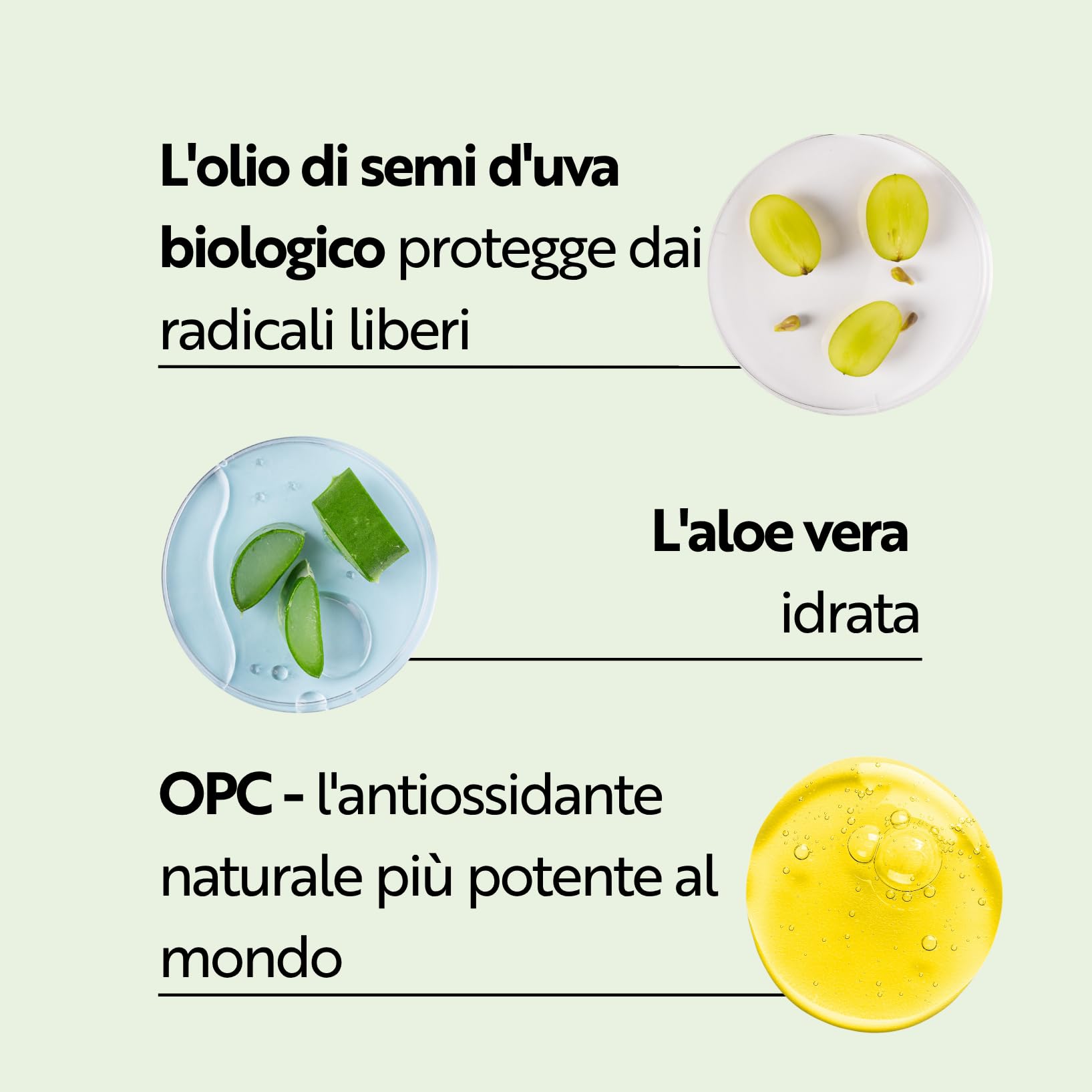 M. Asam Vino Gold 24h crema viso (50 ml) – Crema giorno 24h & crema da notte contro linee e rughe, forte protezione contro l'invecchiamento precoce, anti-invecchiamento, crema idratante vegana