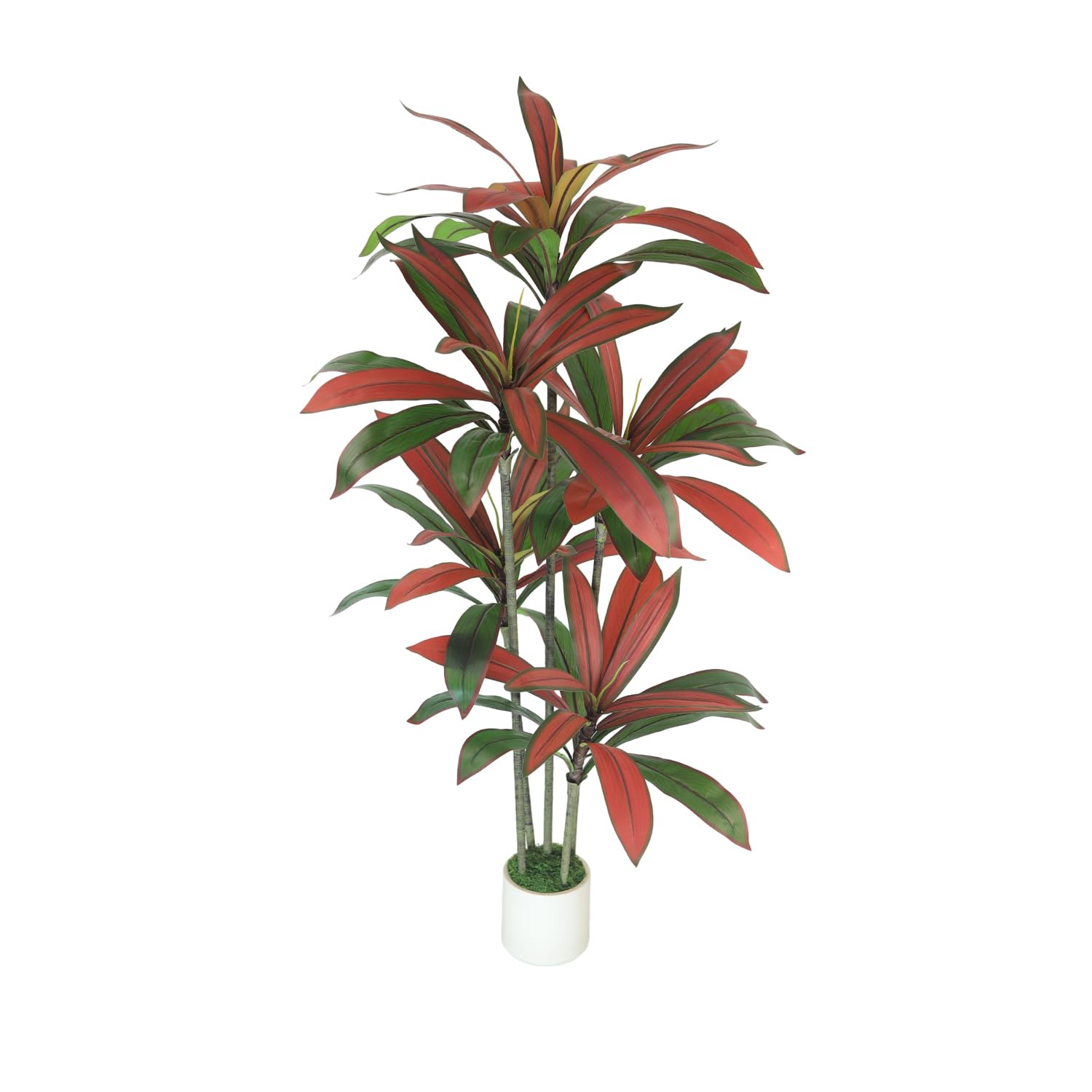 Gaoqisi 5FT Artificial Dracaena Tree Red